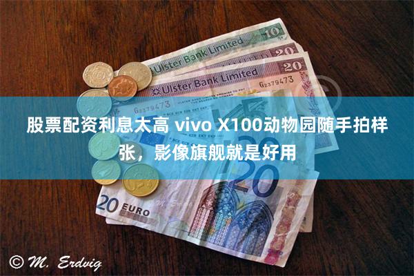 股票配资利息太高 vivo X100动物园随手拍样张，影像旗舰就是好用