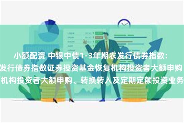 小额配资 中银中债1-3年期农发行债券指数: 关于中银中债1-3年期农发行债券指数证券投资基金恢复机构投资者大额申购、转换转入及定期定额投资业务的公告