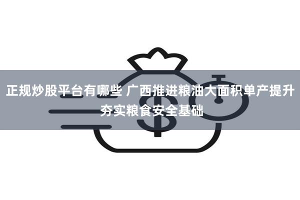 正规炒股平台有哪些 广西推进粮油大面积单产提升 夯实粮食安全基础