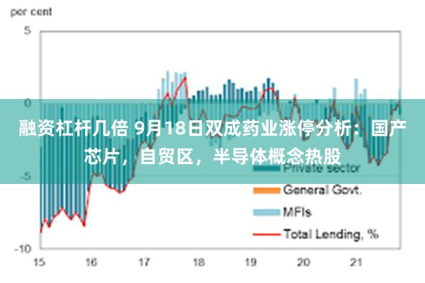 融资杠杆几倍 9月18日双成药业涨停分析：国产芯片，自贸区，半导体概念热股